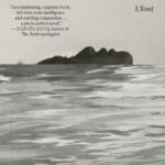 Discipline: A Novel